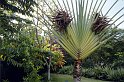 reu96_153 jardin eden